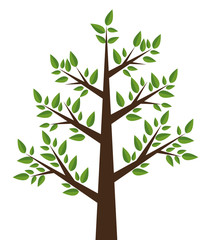 Obraz premium tree plant design 