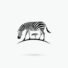 Fototapeta na wymiar Zebra symbol