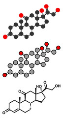 Cortisone stress hormone molecule. 