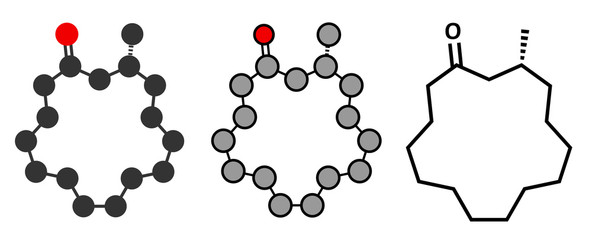 Muscone musk odor molecule. 