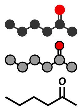 Methyl butyl ketone (MBK, 2-hexanone) solvent molecule.