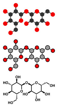 Trehalose (mycose, tremalose) sugar molecule.