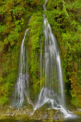 Obraz premium Salmon Creek Falls