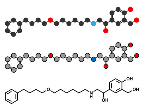 「セレベント」の写真素材 34件の無料イラスト画像 Adobe Stock