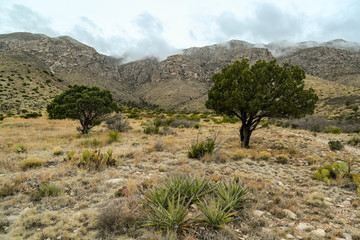 Gaudalupe Mountains Texas
