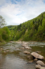 River in Carpathians mountains in spring