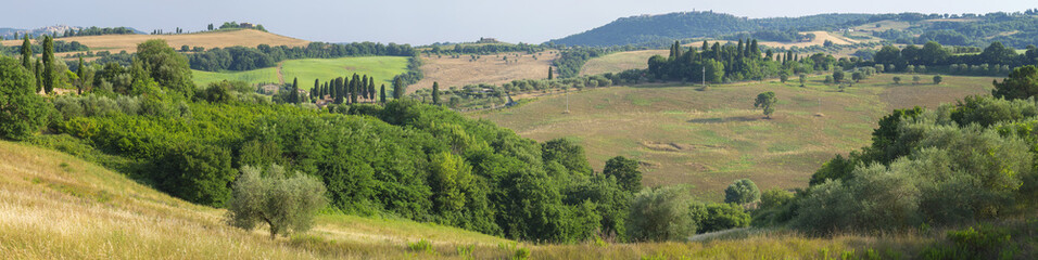 panorama of landscape of tuscany in summer in Italy