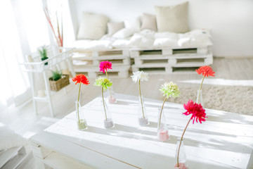 Wooden shelf with decorative elements in white and bright sunny room