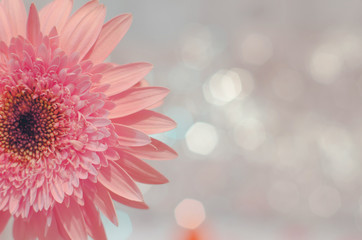 Obraz premium beautiful flower