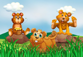 Obraz na płótnie Canvas Three bears in the field