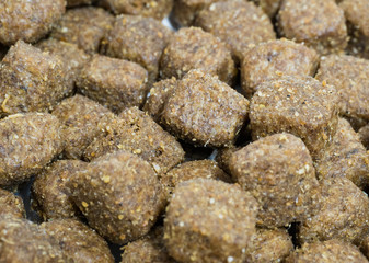 Hunde-Trockenfutter, Detailaufnahme