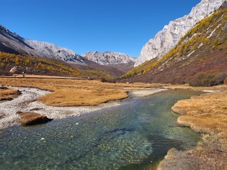  The Autumn at Yading Nature Reserve in Daocheng County ,China