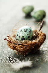 Fototapeta premium Easter composition with eggs and nest