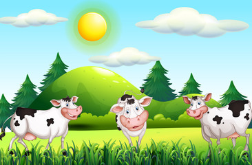 Obraz na płótnie Canvas Thee cows standing in the farmyard