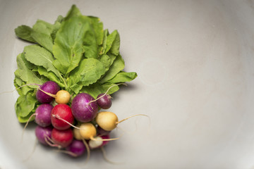 Multicoloured radishes on a blue grey plate