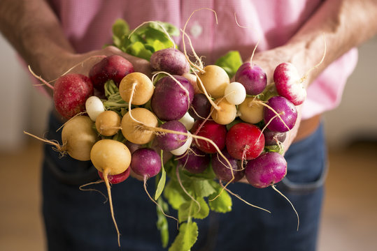 CLose up of Radishes in a Mans hands