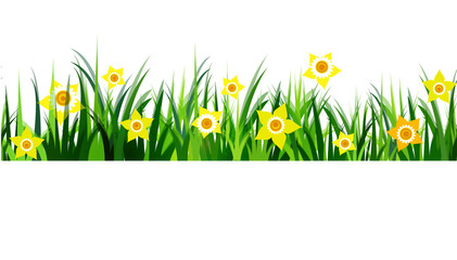  Green Grass seamless daffodils