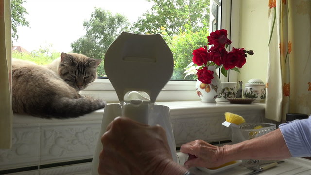 Senior woman boils kettle, cat on window sill
