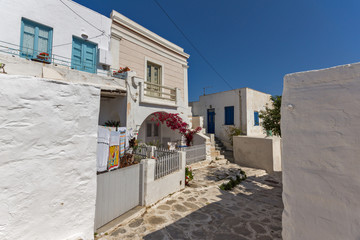 Fototapeta na wymiar white houses with flowers in town of Parakia, Paros island, Cyclades, Greece