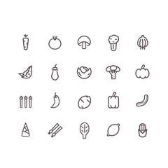 vegetable icon set vector.line icons.