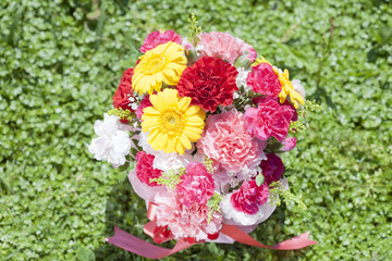 カーネーションの花束　屋外