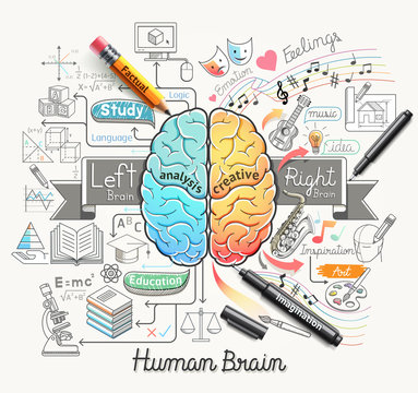 Human brain diagram doodles icons style. 