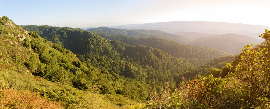Santa Cruz Mountains