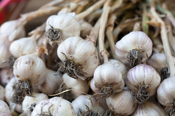 Fresh garlic