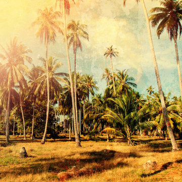 Tropical Palm Trees Jungle Vintage Shabby Effect