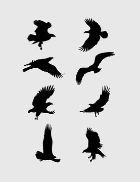 Eagle Flying Silhouette, art vector design