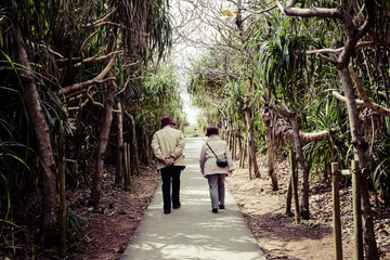 Fototapeta na wymiar 仲良く森を散歩する老夫婦