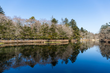Fototapeta na wymiar Beautiful lake karuizawa