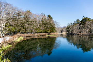 Fototapeta na wymiar Water pond in karuizawa
