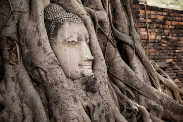 Head of Buddha statue in the tree roots, Wat Mahathat temple, Ayutthaya, Thailand