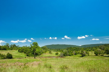  savanna landscape at Khaoyai National Park ,Thailand