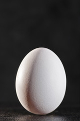 White egg against dark backgrounds