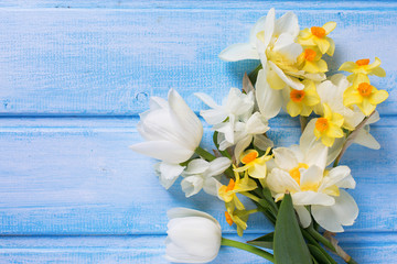 Background with fresh spring  flowers on blue  painted wooden pl