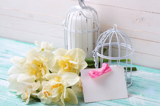 Spring flowers, tag and candles in decorative bird cages on turq