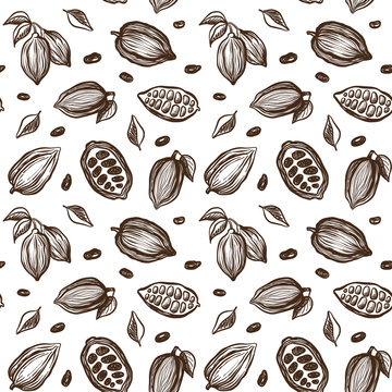 Seamless Pattern With Sketch Cocoa Beans