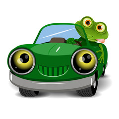 Fototapeta premium Frog in the car