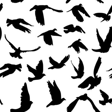 Doves and pigeons seamless pattern for peace concept and wedding design