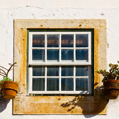 Window