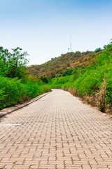 Cement Mountain Road