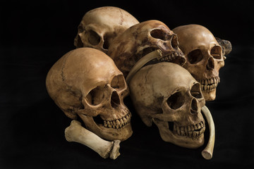 Still life Human skull and bones, genocides concept