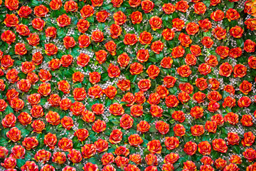 pattern of red roses