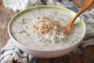 Bulgarian cold soup tarator close up in a bowl. horizontal