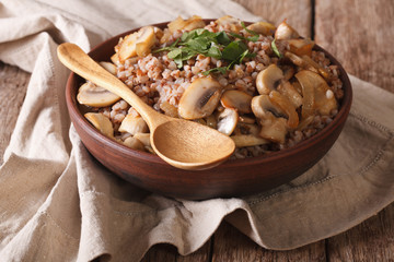 buckwheat porridge with fried mushrooms in a bowl close-up. horizontal
