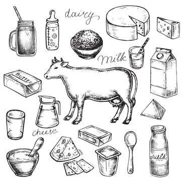 hand drawn sketch illustration dairy products