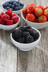 Fresh juicy garden berries, vertical