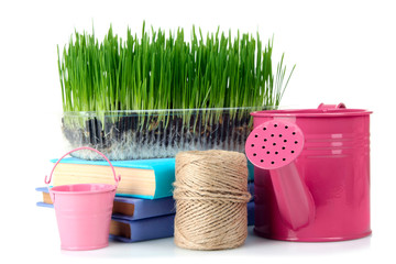 garden watering can and bucket near the earth with green sprouts and books on white isolated background